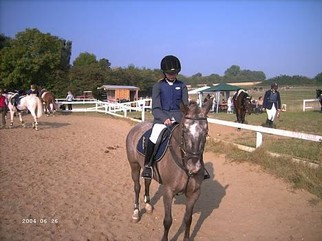 Knabstrupper Desna solgt )':  - til vores 3 stævne (: fik en 2. plads i LB && LA billede 16