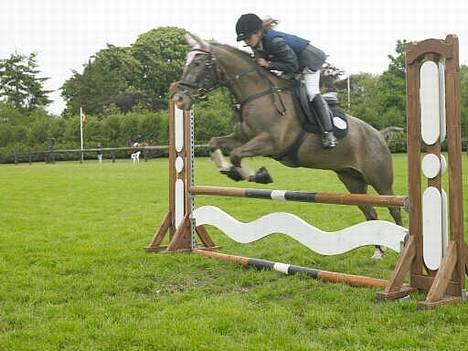 Knabstrupper Desna solgt )':  - til klubmesteskabet , vi blev nummer 2 (: billede 18