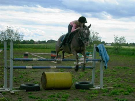 Knabstrupper Desna solgt )':  - springer hjemme , 105 (: billede 19