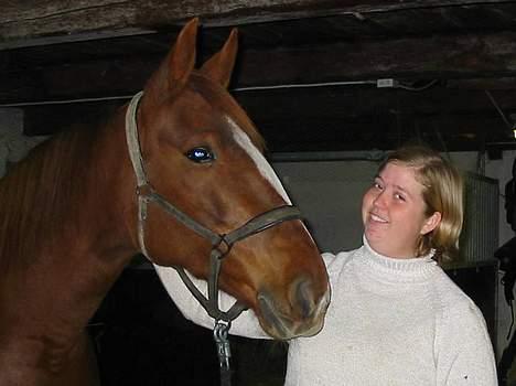 Traver Gabriella Safir - Smukke hest billede 15