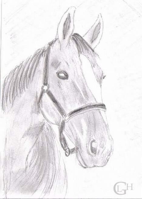 Traver Gabriella Safir - Tegnet af MagicDragon billede 19