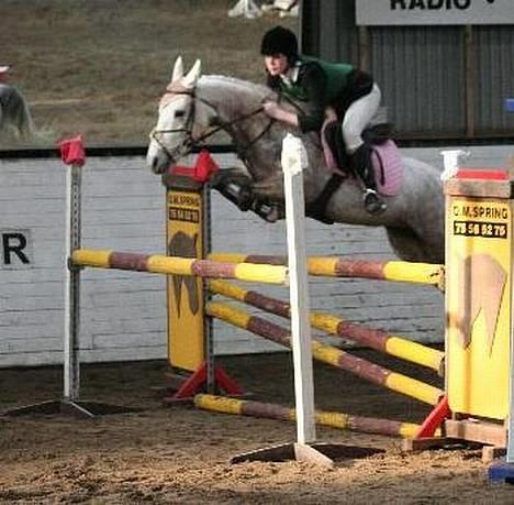 Connemara Fantacy *solgt* - 120 cm. omspring til D-stævne i NBKR billede 9