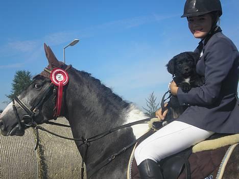 Anden særlig race Kirano -solgt - Kirano, Gucci og jeg. Min lille ny´ hundehvalp på sin første ridetur. billede 1