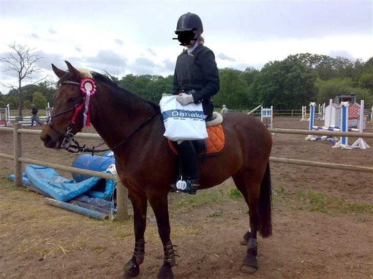 Anden særlig race Bøgelunds Zarina Udlånt - LB i St. Restrup som jeg vandt ;) eneste fejlfri i både første og anden fase :D billede 19