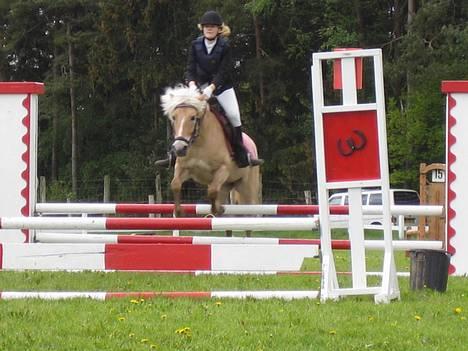 Anden særlig race  Danse Daisy <3 - Spring 21/5-06 billede 6