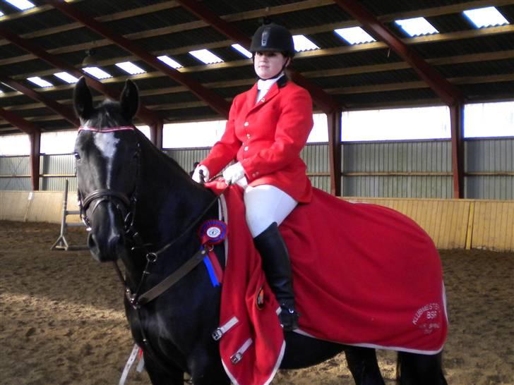 Dansk Varmblod June billede 20