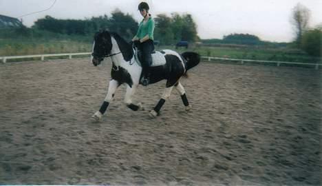 Tinker Frederik (Solgt) - Og her er så en øgning.. billede 17