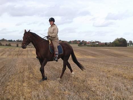 Fuldblod (XX) Horizontas (Død) - Skridter af billede 15