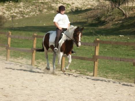 Pinto Kiara  - min mor der rider på hende, for meget lang tid siden. forår 2005 billede 18