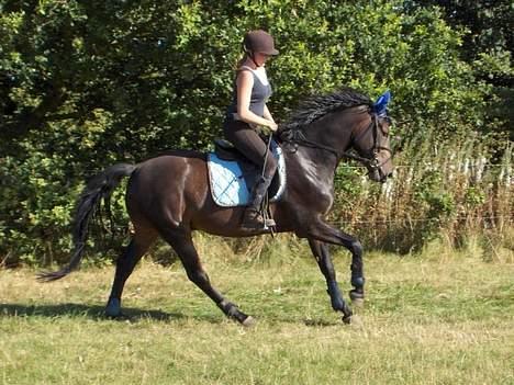 Anden særlig race Asa vav kit - Det er ikk mig der rider på sava.. billede 3