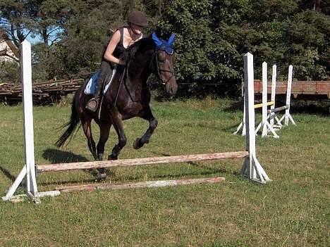 Anden særlig race Asa vav kit - Og det er heller ikke mig der springer på sava her.. hehe.. billede 4