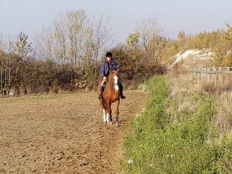 Frederiksborg Locky Classic *Solgt* - 30-10-2005.. billede 11