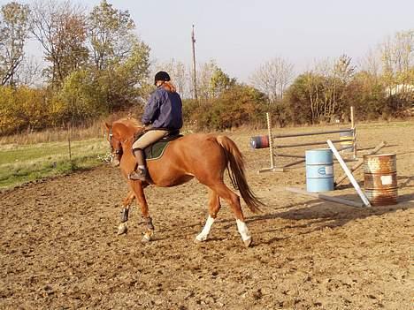 Frederiksborg Locky Classic *Solgt* - 30-10-2005.. billede 16