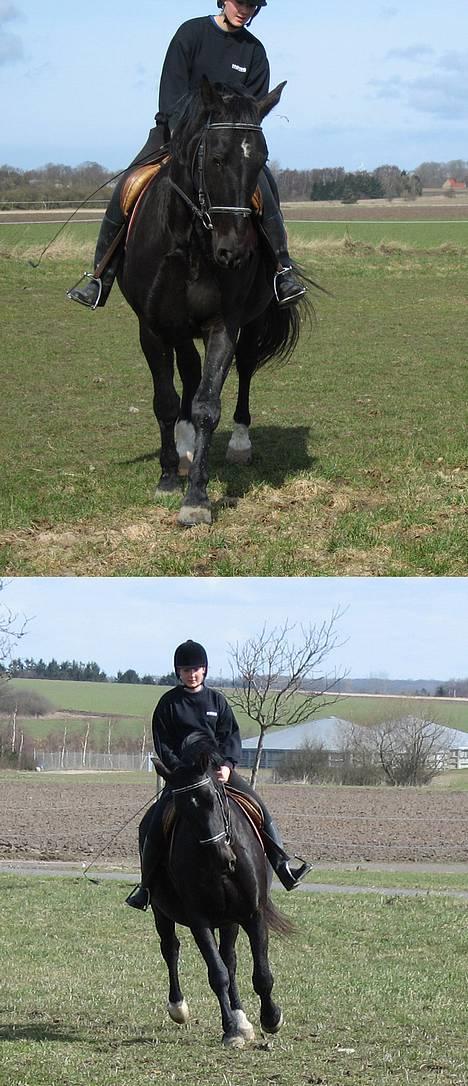 Oldenborg Bessie af Bækkeskov - Fra d. 11. april 2006 - Anja rider dressur på Bessie på folden billede 20