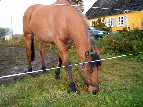 Anden særlig race Stjerne  - Mmm det smager godT billede 1