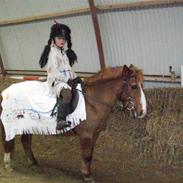 Anden særlig race mulle r.i.p