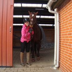 Anden særlig race Gucci 