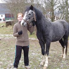 DSP Langdamsgaards Don