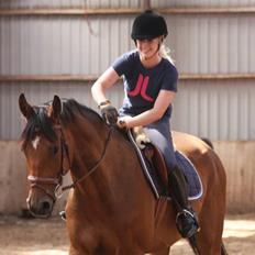 Holstener CONTENDER  *Baby*