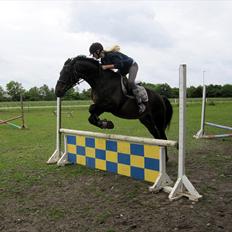 Anden særlig race Conrad <3