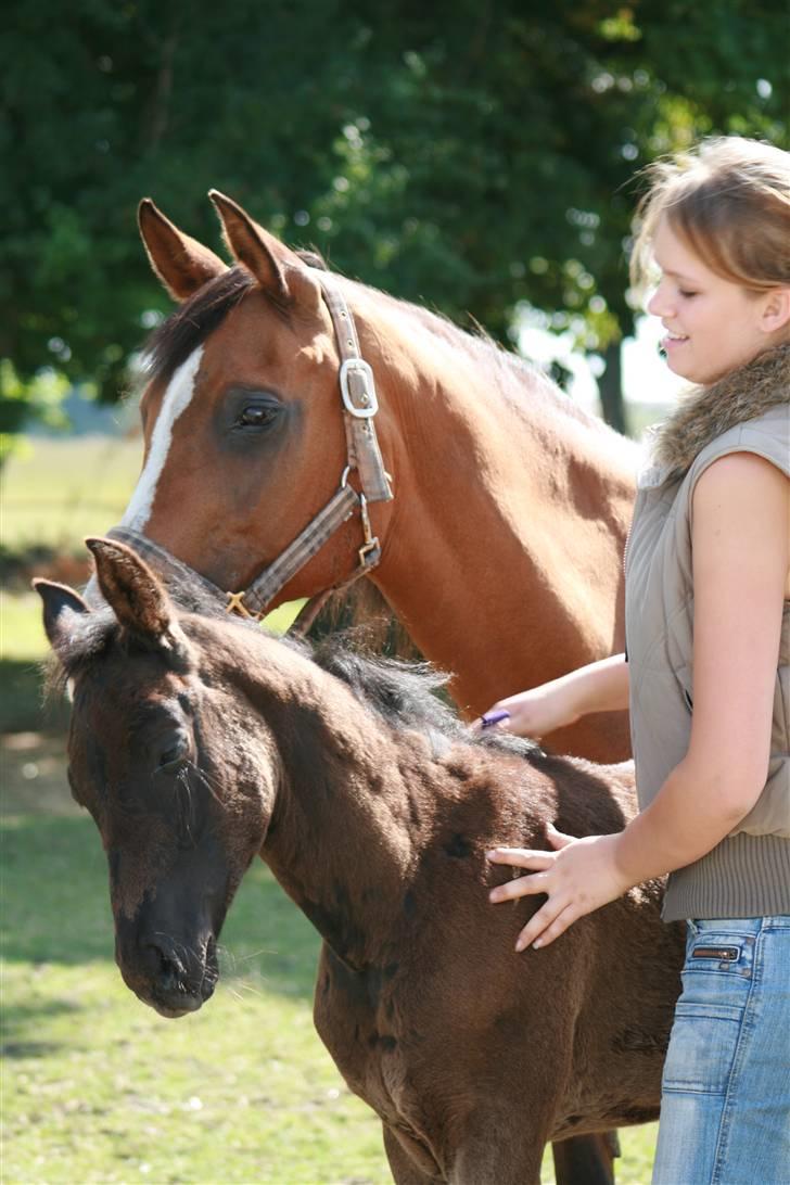 DSP moonjam´s classic touch  - My Dancer Classic Touch og mig billede 19