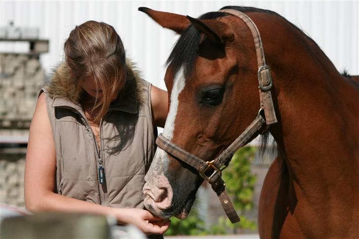 DSP My Dancer billede 6