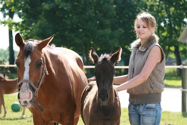 DSP My Dancer billede 8