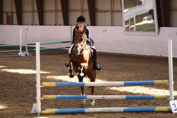 DSP Zoé Bredager - Shannon mejner der springer Zoé billede 12