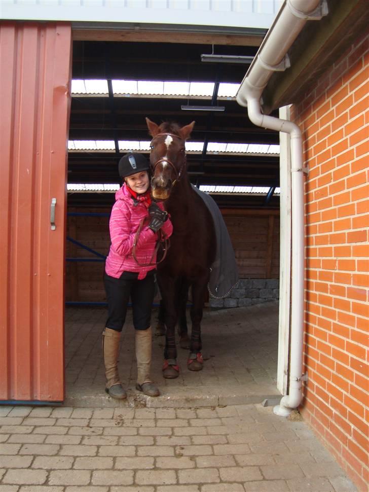 Anden særlig race Gucci  - Vi fjoller (: billede 2