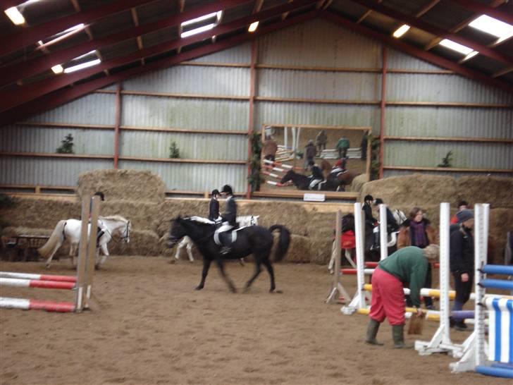 New Forest gl part:´( Bonette<3 - #9 altså Bonette hvor mange gange skal du lige skide:D? billede 9