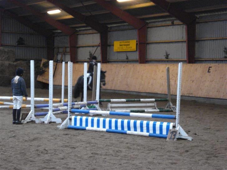 New Forest gl part:´( Bonette<3 - #10 når det er da første gang du kikker Bonette:***** billede 10