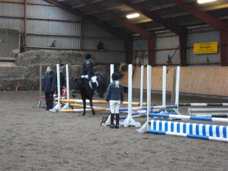 New Forest gl part:´( Bonette<3 - #11 Så lander vi billede 11