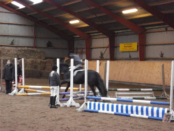 New Forest gl part:´( Bonette<3 - #12 Spring!! billede 12