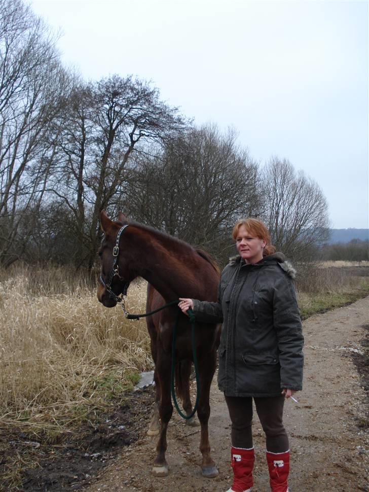 Pinto GANTRUP LISA - her på en af vores mange gåture, får set en masse natur billede 7