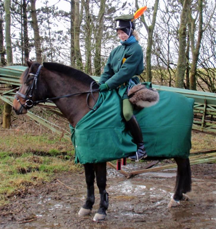 Anden særlig race Stella - tidligere hest. - Fra fastalavn d. 22/2 09. Vi var Robin Hood :) billede 18