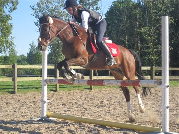 Anden særlig race Æbledalens Athos - SOLGT- - Sophia & Athos til træning Taget af:  Emilie Roepstorff billede 1