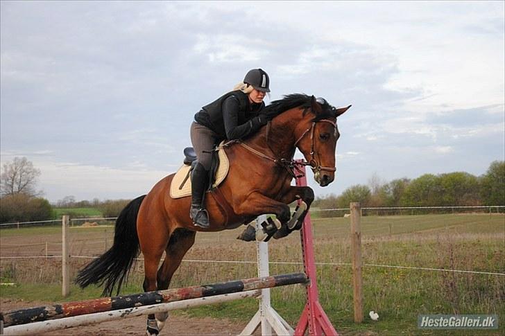 Anden særlig race Ib-Flemming foo fighter - JIIIIIIIIIHAAAAAAAAAAAAAAAAAR! xD<3 billede 11