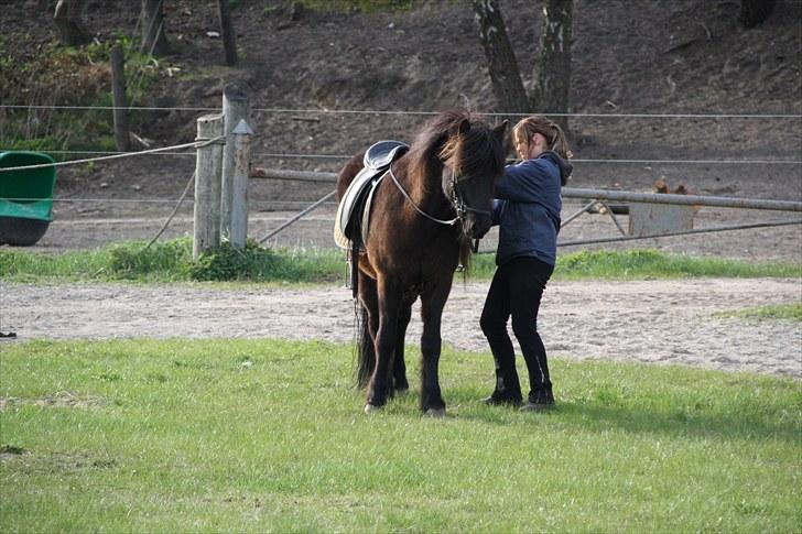 Islænder Omi fra hallisgård - Mig og Omi :) billede 15