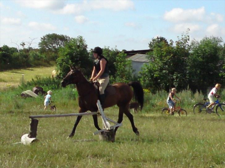 Anden særlig race $unshine<3 R.I.P:'( - 14: fordi du er fordejlig<3 11 år billede 14