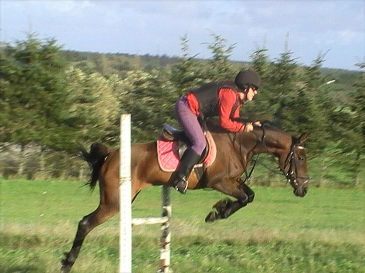 Anden særlig race $unshine<3 R.I.P:'( - 15: datid, nutid, fremtid, altid<3:) 11 år billede 15