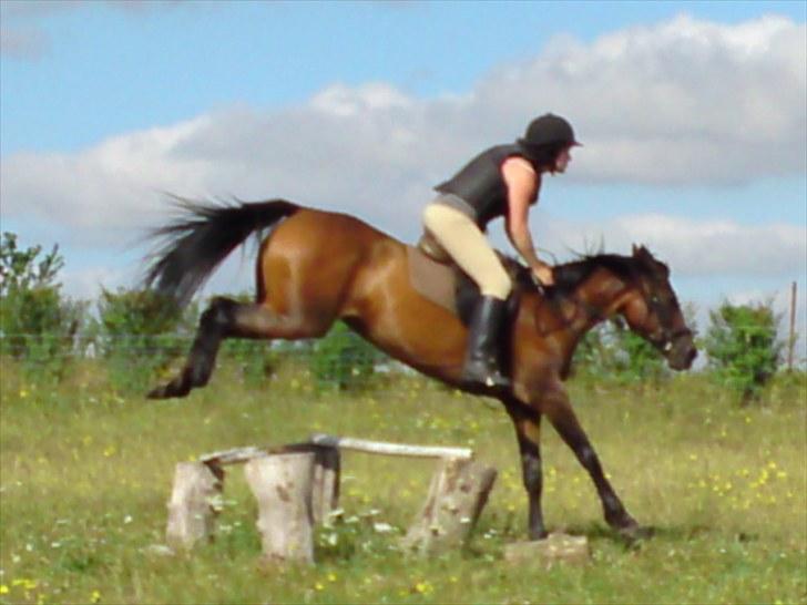 Anden særlig race $unshine<3 R.I.P:'( - 16:min allersødeste<3 11 år billede 16