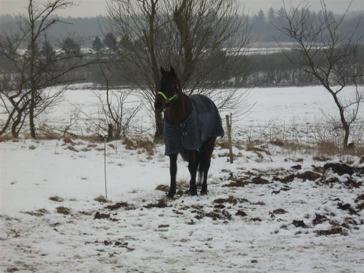 Anden særlig race $unshine<3 R.I.P:'( - 17: uuhhhhhhh hvad er det?? 9 år billede 17