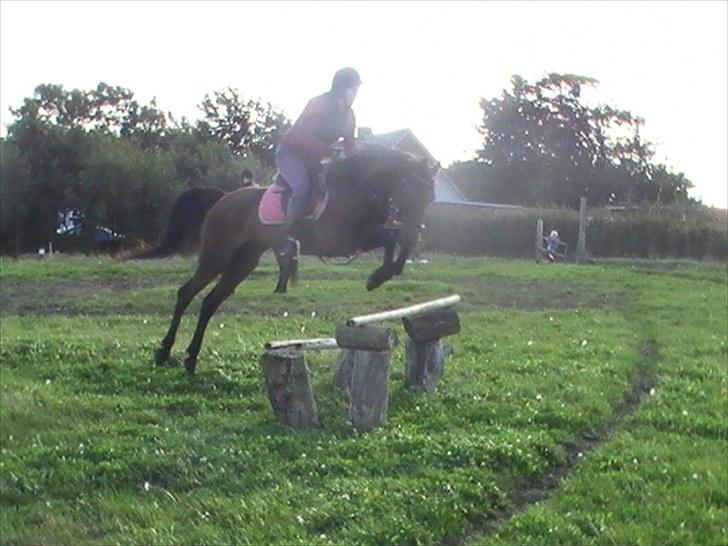 Anden særlig race $unshine<3 R.I.P:'( - 18: min lille sukkerpige<3 11 år billede 18