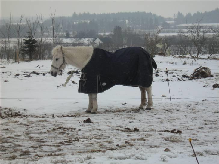Anden særlig race Fraja<3 R.I.P:'( - 7: jeg lever livet!(: 17 år billede 7