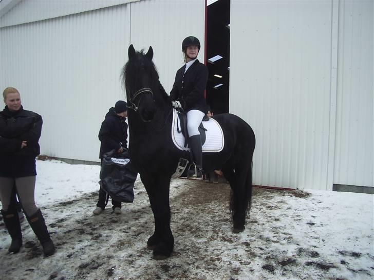 Frieser Kashmir Toustrup - Vores første mini stævne :) 2009 det gik rigtig fint :) billede 2