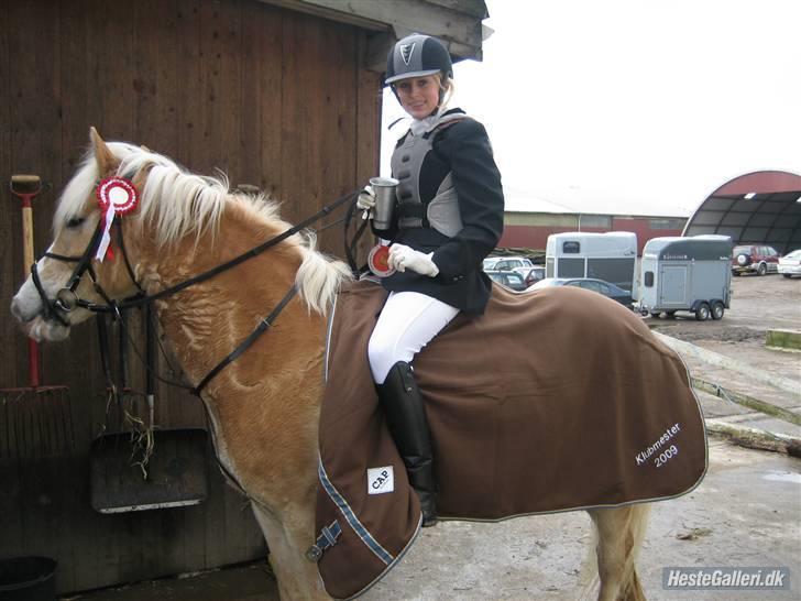 Haflinger Jupiter's bonanza (Tidl. hest) - Vandt klubmesterskab i spring 2009 <3 billede 1