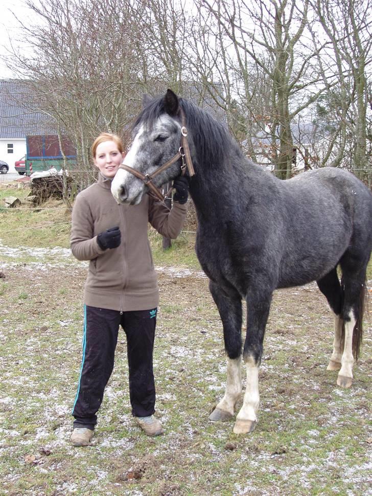 DSP Langdamsgaards Don billede 2