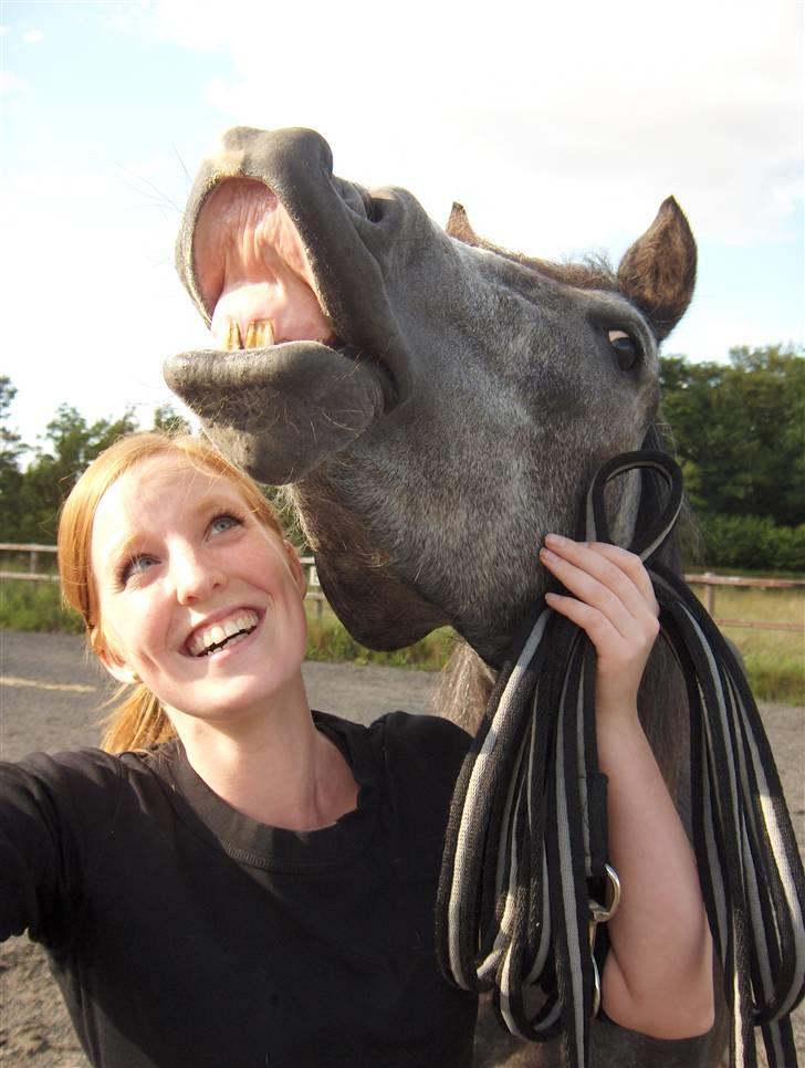 DSP Langdamsgaards Don billede 3