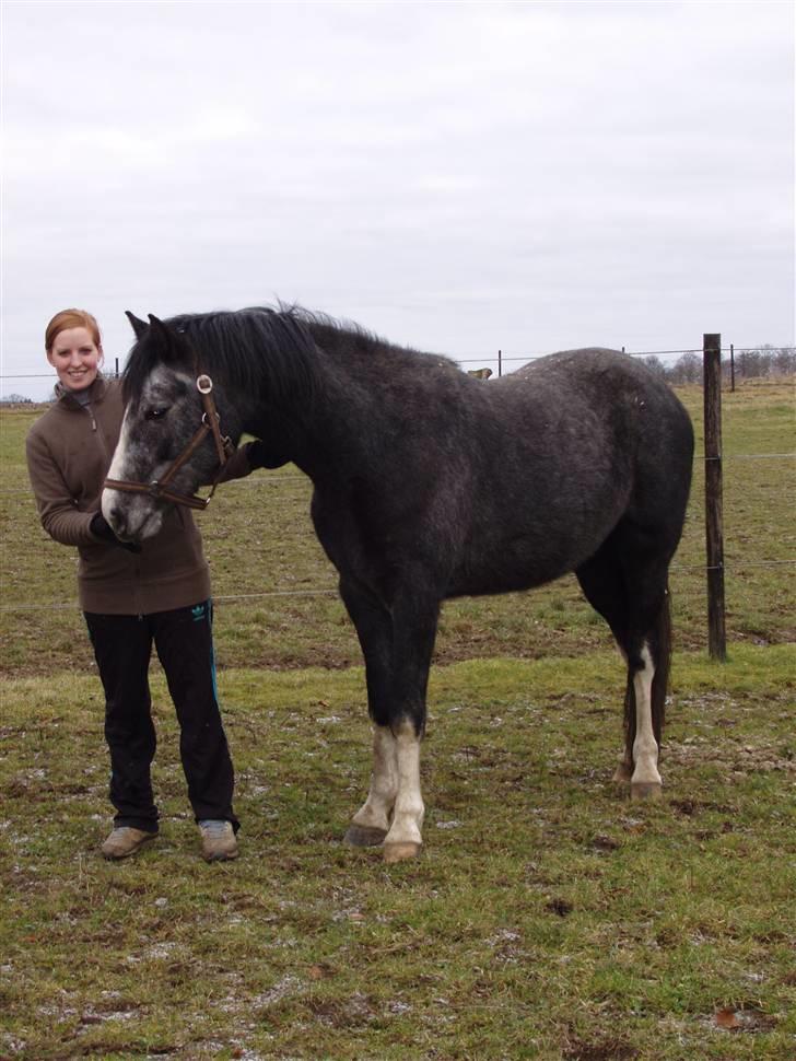 DSP Langdamsgaards Don billede 5