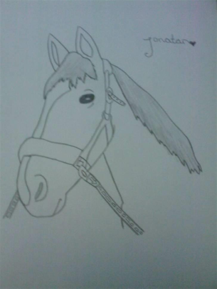 Anden særlig race Jonatan<3 (rideskole.pony) *himmelpony - en tegning af Jonatan som min søs har tegnet <3 :´) billede 3